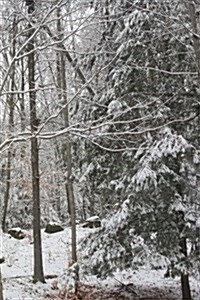 Winter Photo Journal Snow Covered Evergreen Branches: (Notebook, Diary, Blank Book) (Paperback)