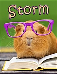 Storm: Personalized Book with Name, Journal, Notebook, Diary, 105 Lined Pages, 8 1/2 X 11, Birthday, Friendship, Christmas (Paperback)