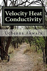 Velocity Heat Conductivity: A Case Study for Two Autonomous Mobile Robots in Energy Workspace (Paperback)
