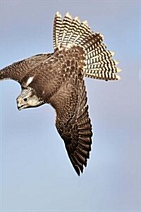 Falcon Notebook: 150 Lined Pages, Softcover, 6 X 9 (Paperback)
