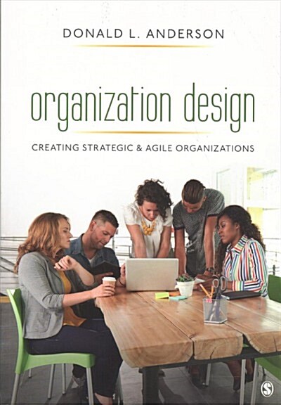 Organization Design: Creating Strategic & Agile Organizations (Paperback)