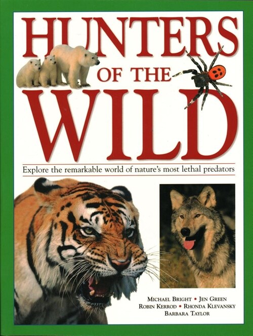 Hunters of the Wild : Explore the remarkable world of natures most lethal predators (Paperback)