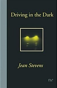 Driving in the Dark (Paperback)