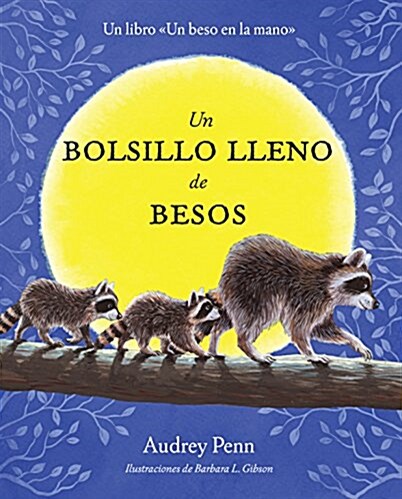 Un Bolsillo Lleno de Besos = A Pocket Full of Kisses (Hardcover)