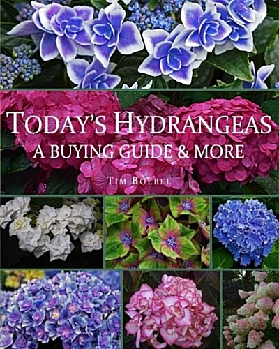 Todays Hydrangeas: A Buying Guide & More (Paperback)