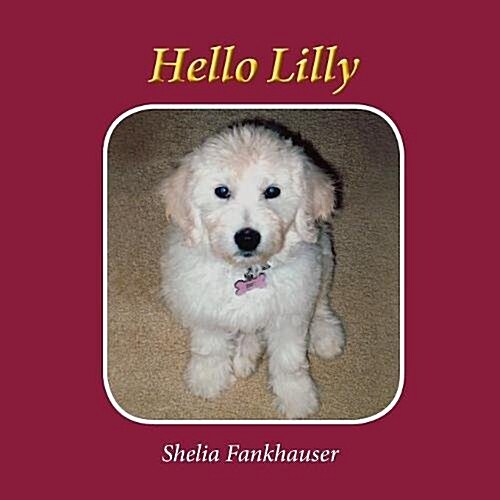 Hello Lilly (Paperback)