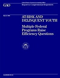 Hehs-96-34 At-Risk and Delinquent Youth: Multiple Federal Programs Raise Efficiency Questions (Paperback)