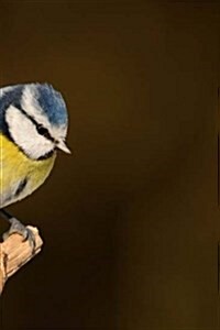 Blue Tit Notebook: 150 Lined Pages, Softcover, 6 X 9 (Paperback)