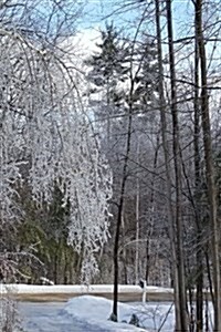 Journal Winter Ice Storm Birch Tree Snow Covered: (Notebook, Diary, Blank Book) (Paperback)