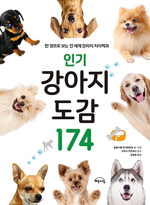 [중고] 인기 강아지 도감 174