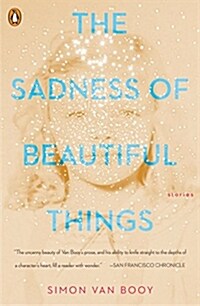 The Sadness of Beautiful Things: Stories (Paperback)