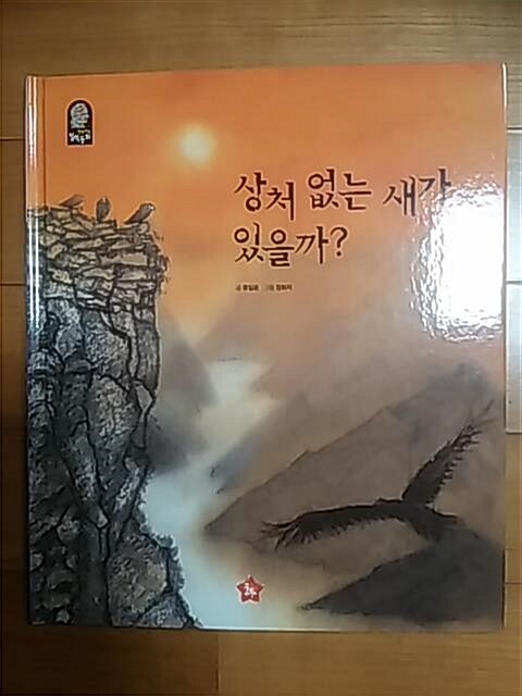 상처 없는 새가 있을까? 표지이미지
