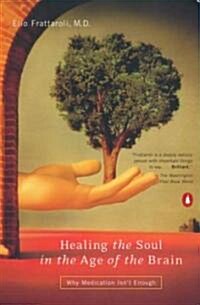 Healing the Soul in the Decade of the Brain : Psychotherapy in the Age of Prozac (Paperback)