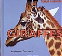 Giraffes (Library Binding)