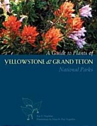 A Guide to Plants of Yellowstone and Grand Teton National Parks: Natural History Notes and Uses (Paperback)