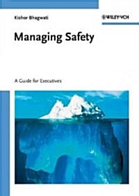 Managing Safety: A Guide for Executives (Hardcover)