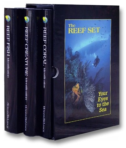 Reef Set (Boxed Set, 2, Updated, Enlarg)