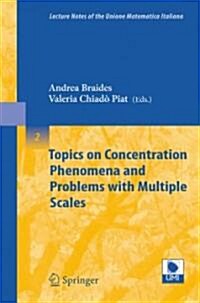 Topics on Concentration Phenomena And Problems With Multiple Scales (Paperback)