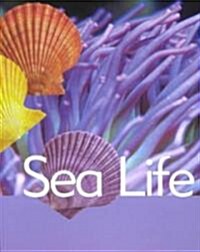 Sea Life (Ocean Facts) (Hardcover)