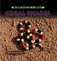 Coral Snakes (Library Binding)