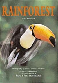 Rainforest (Hardcover)