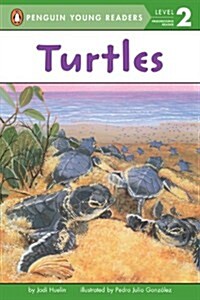 Turtles (Paperback)