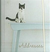 Black & White Cat (Hardcover, ADR)