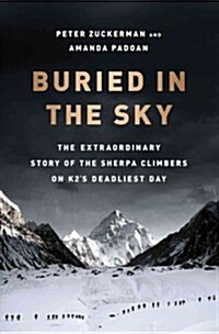 Buried in the Sky (Hardcover)