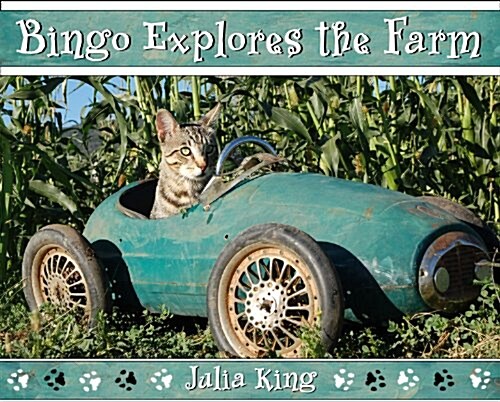 Bingo Explores the Farm (Hardcover)