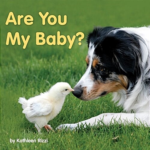 Are You My Baby? (Board Books)
