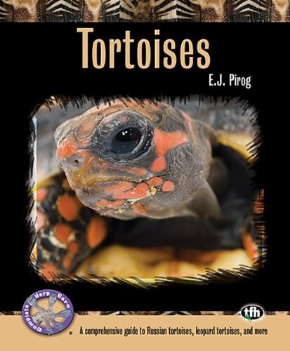 Tortoises: A Comprehensive Guide to Russian Tortoises, Leopard Tortoises, and More (Paperback)