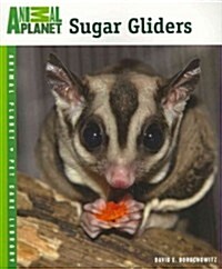 Sugar Gliders (Paperback)