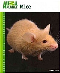 Mice (Paperback)