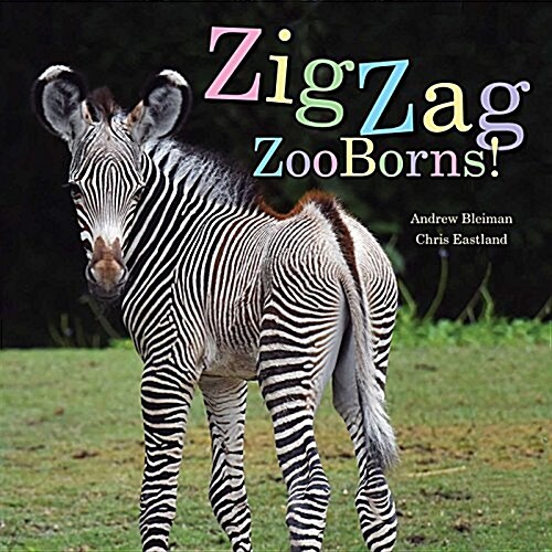 Zigzag Zooborns!: Zoo Baby Colors and Patterns (Paperback, Reprint)