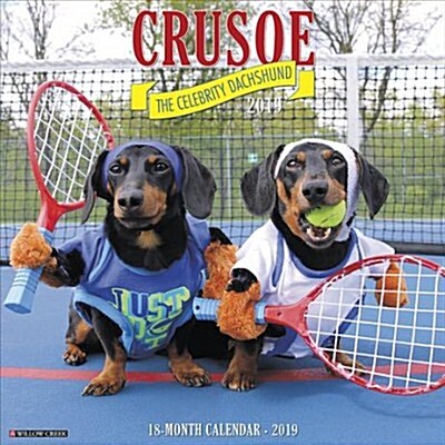 Crusoe the Celebrity Dachshund 2019 Wall Calendar (Dog Breed Calendar) (Wall)