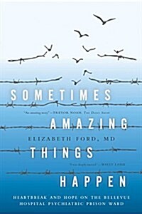 Sometimes Amazing Things Happen: Heartbreak and Hope on the Bellevue Hospital Psychiatric Prison Ward (Paperback)