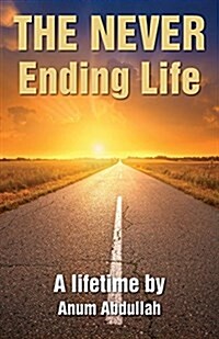 The Never Ending Life (Paperback)