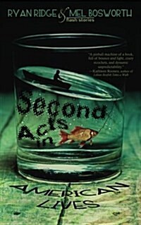 Second Acts in American Lives (Paperback)