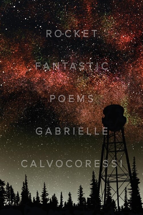 Rocket Fantastic: Poems (Paperback)