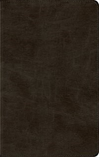 ESV Journaling New Testament, Inductive Edition (Trutone, Olive, Branch Design) (Imitation Leather)