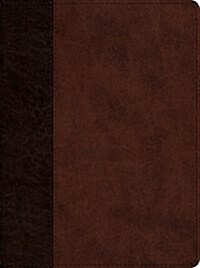 ESV Proverbs: Daily Wisdom (Trutone, Brown/Walnut, Timeless Design) (Imitation Leather)