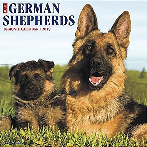 Just German Shepherds 2019 Wall Calendar (Dog Breed Calendar) (Wall)