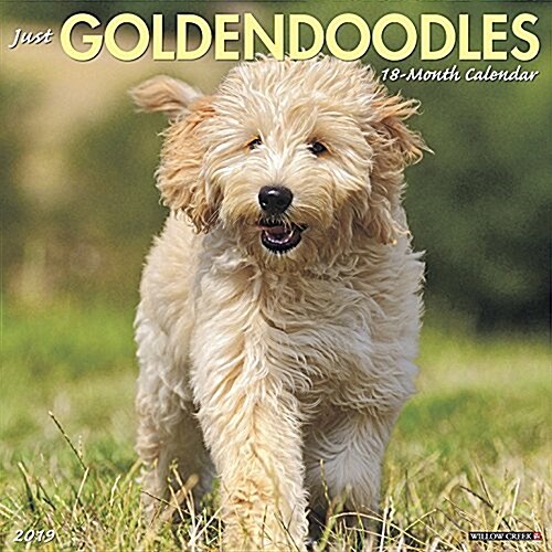 Just Goldendoodles 2019 Wall Calendar (Dog Breed Calendar) (Wall)