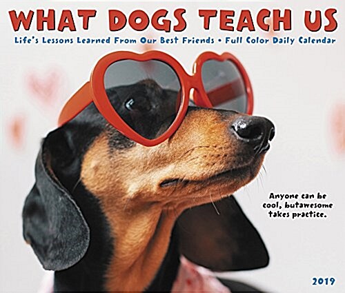 What Dogs Teach Us 2019 Box Calendar (Daily)