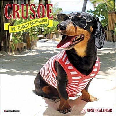 Crusoe the Celebrity Dachshund Mini 2019 Wall Calendar (Dog Breed Calendar) (Mini)