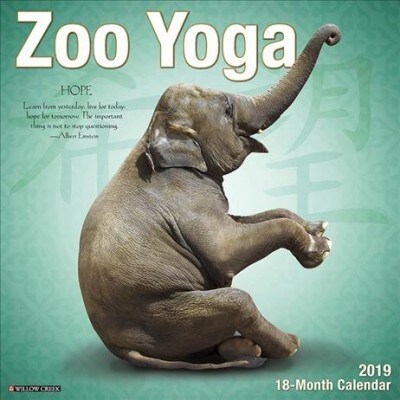 Zoo Yoga 2019 Wall Calendar (Wall)