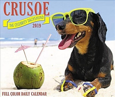 Crusoe the Celebrity Dachshund 2019 Box Calendar (Dog Breed Calendar) (Daily)