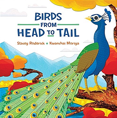 [중고] Birds from Head to Tail (Hardcover)