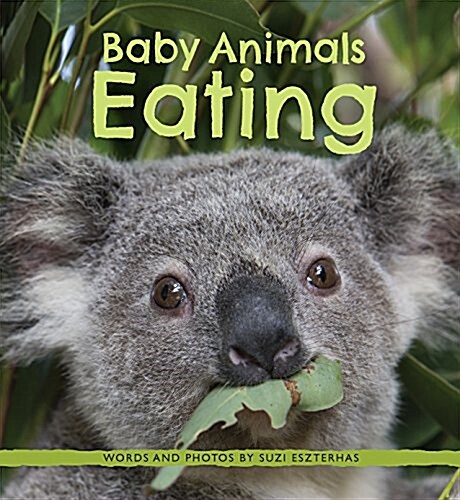 Baby Animals Eating (Hardcover)