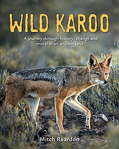 Wild Karoo: A Journey Through History, Change and Revival in an Ancient Land (Paperback)